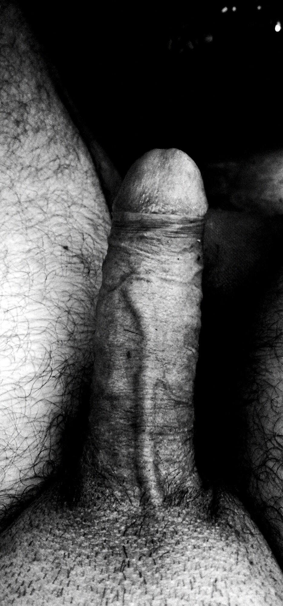 ... Horoz!