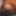 VERY UNUSUAL MOUSE NOSE NIPPLES GIRL GOT GIFT - KILO OF 🧀C #33