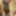 Black honey gets recorded as she showers #47