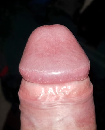 Yeni albüm