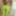 Amateur crossdresser Kellycd2022 holiday in white stockings #18