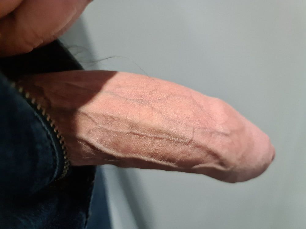 My Swiss Dick on Public Train #3