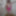 Hot Fat BBW wife teasing with big breasts in pink  #8
