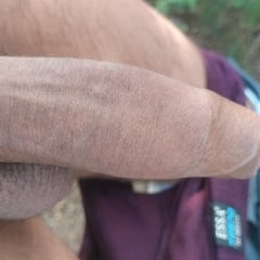 Desi lodo