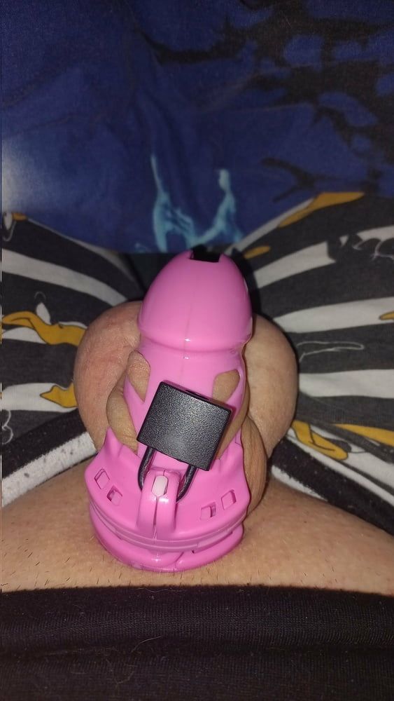 Chastity Collection - So Far >.< #2