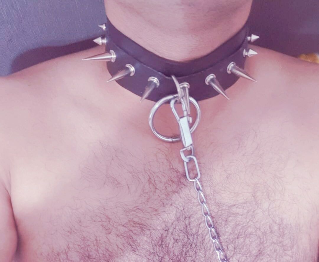 Slave in collar, ready to serve #9