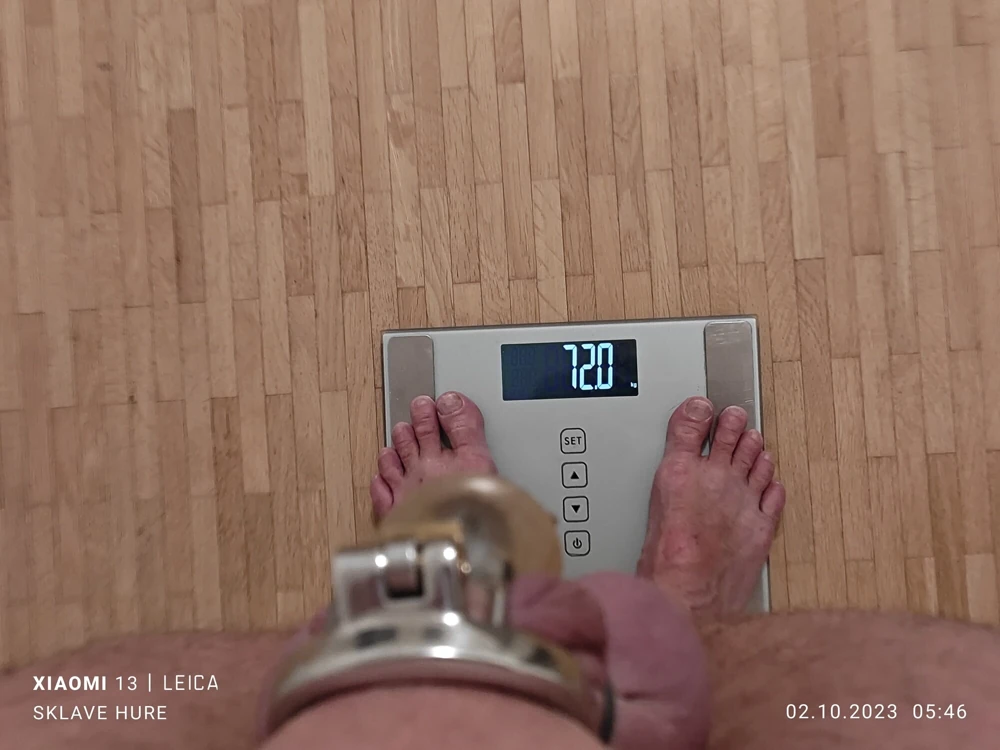 Weighing, Cagecheck, plugcheck Oktober 02, 2023 #4