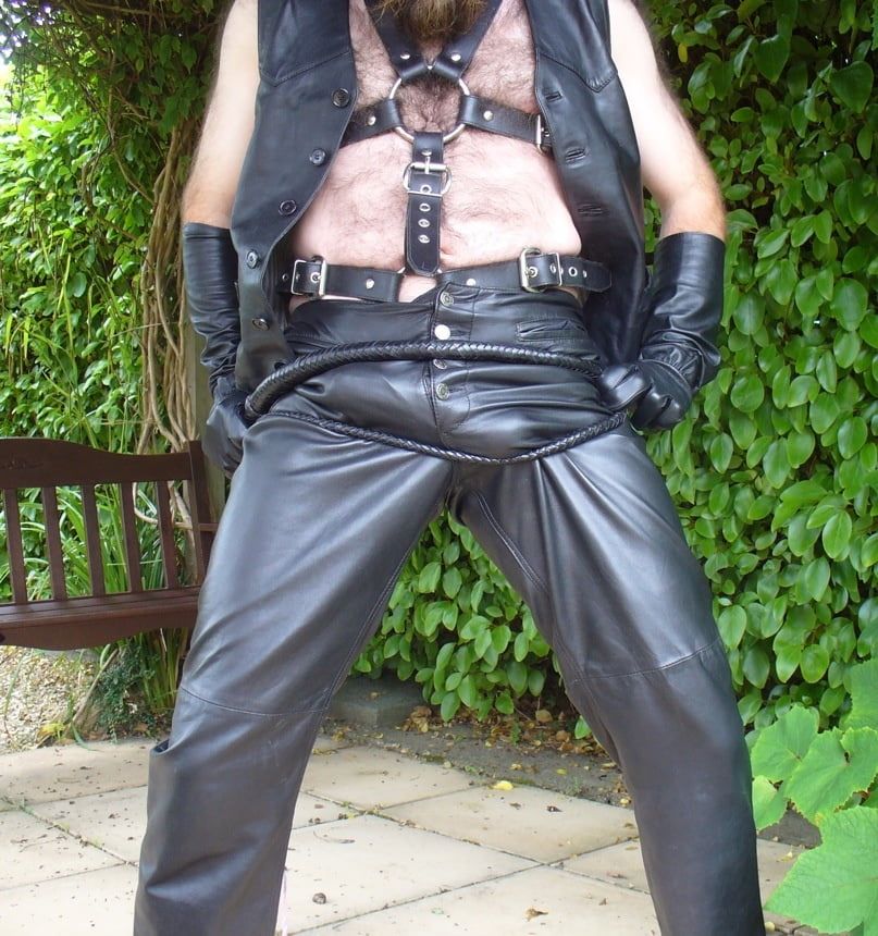 Leather Master outdoors in harness with whip #6