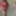 Lexiee in short shorts