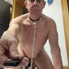 Dog want be trained 