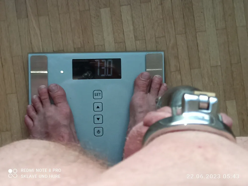 Weighing, cagecheck, plug presentation June 22th, 2023 #13