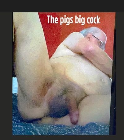 The pigs big cock
