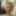 My dick is in the mouth of my favorite mature slut... ))