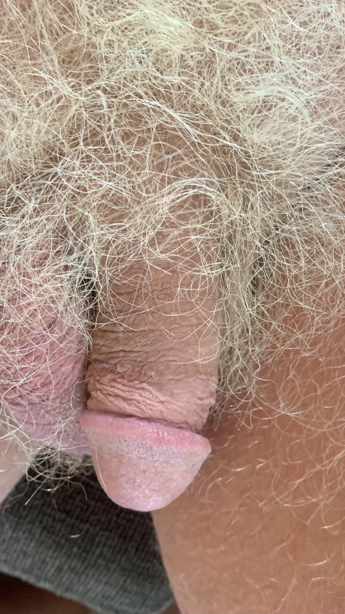 MY BLONDE HAIRED TAN COCK #9