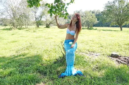 mermaid under the tree         