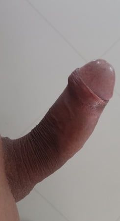 My Cock 1