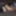 Ücretsiz Looolita12 Fotoğrafları