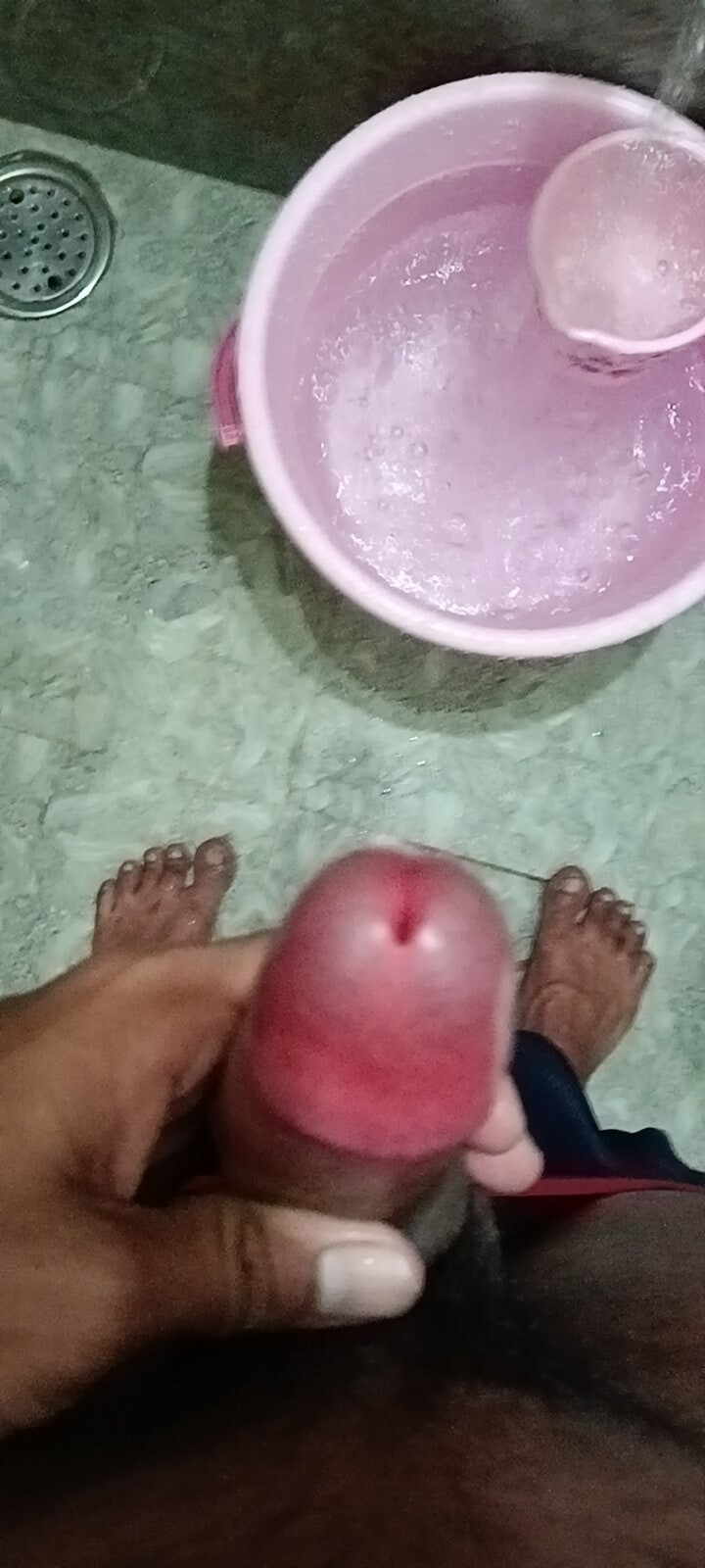 Young Cock 
