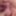 Penis with foreskin #9