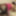 Big Ass Anal Latina MILF GIF