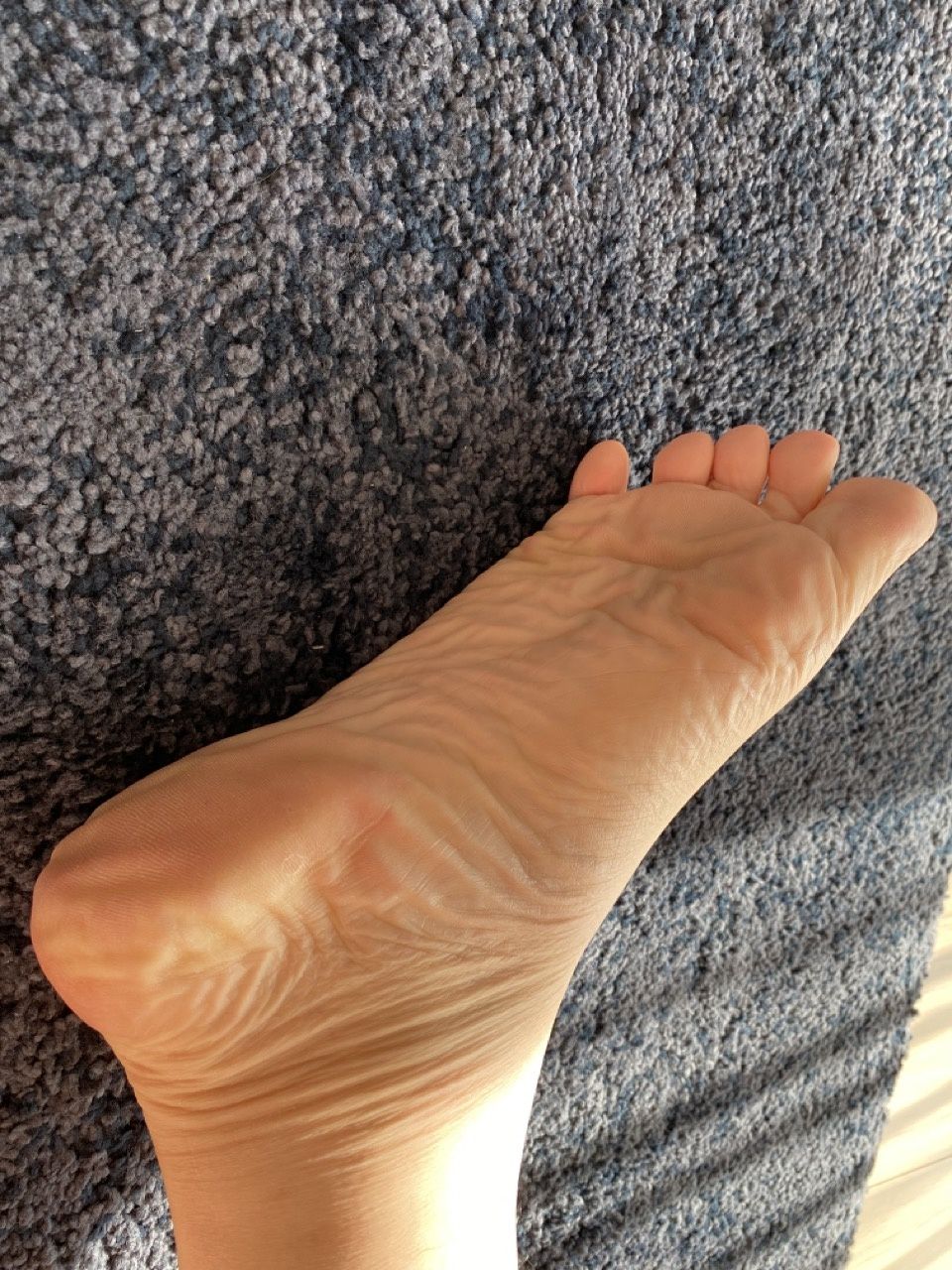 My beautiful male soles