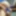 77 year old grandpas uncut dick
