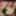 Generous Brother Gif Galery