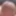 Precum