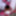 4k Freak Sheisnovember #6 Creampie Nipples BDSM Blowjob Ass  #48