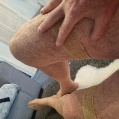 nylon sissy
