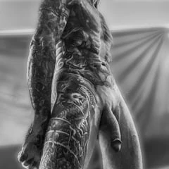 REX REDD Pictures 