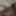Pumped and plump older Gay man&#039;s dick. Oral. Plump. 