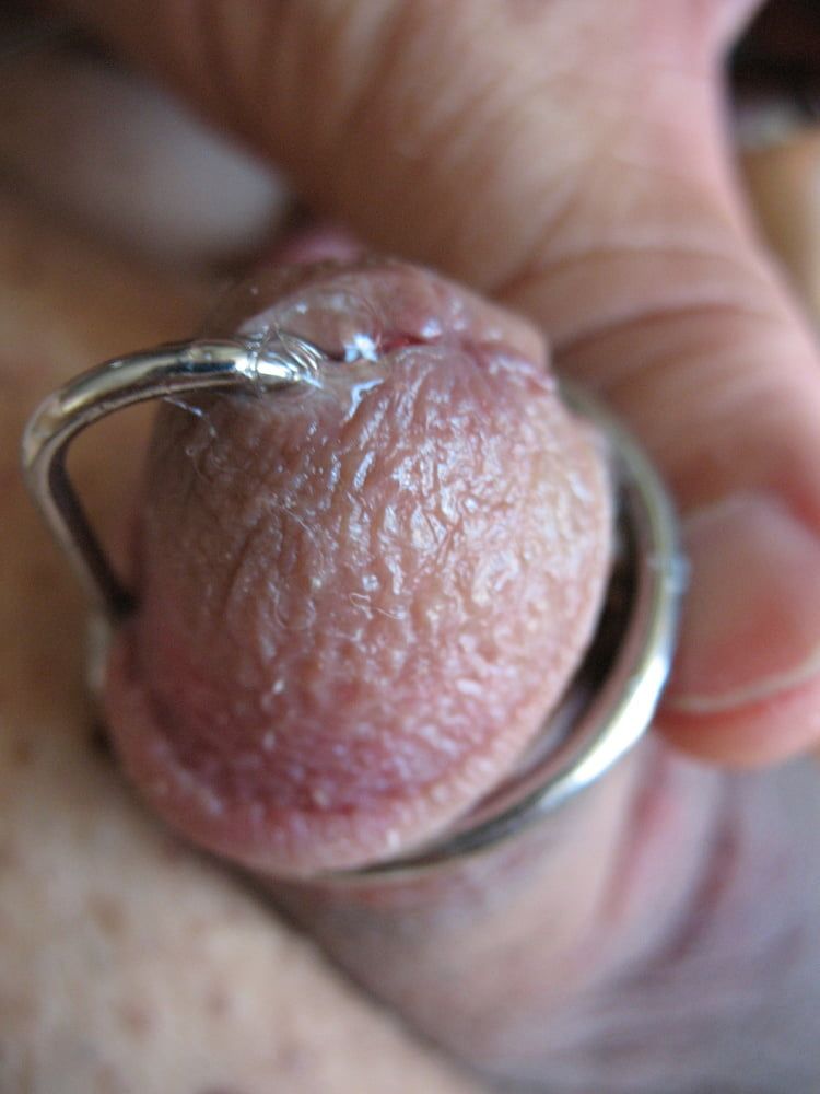 More steel in my cock with glans ring #37