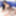 BRAZILIAN TRANSSEXUALS: Exciting And Well Hung Ts From South