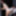 Her first amazing anal sex with stepdaddy #42