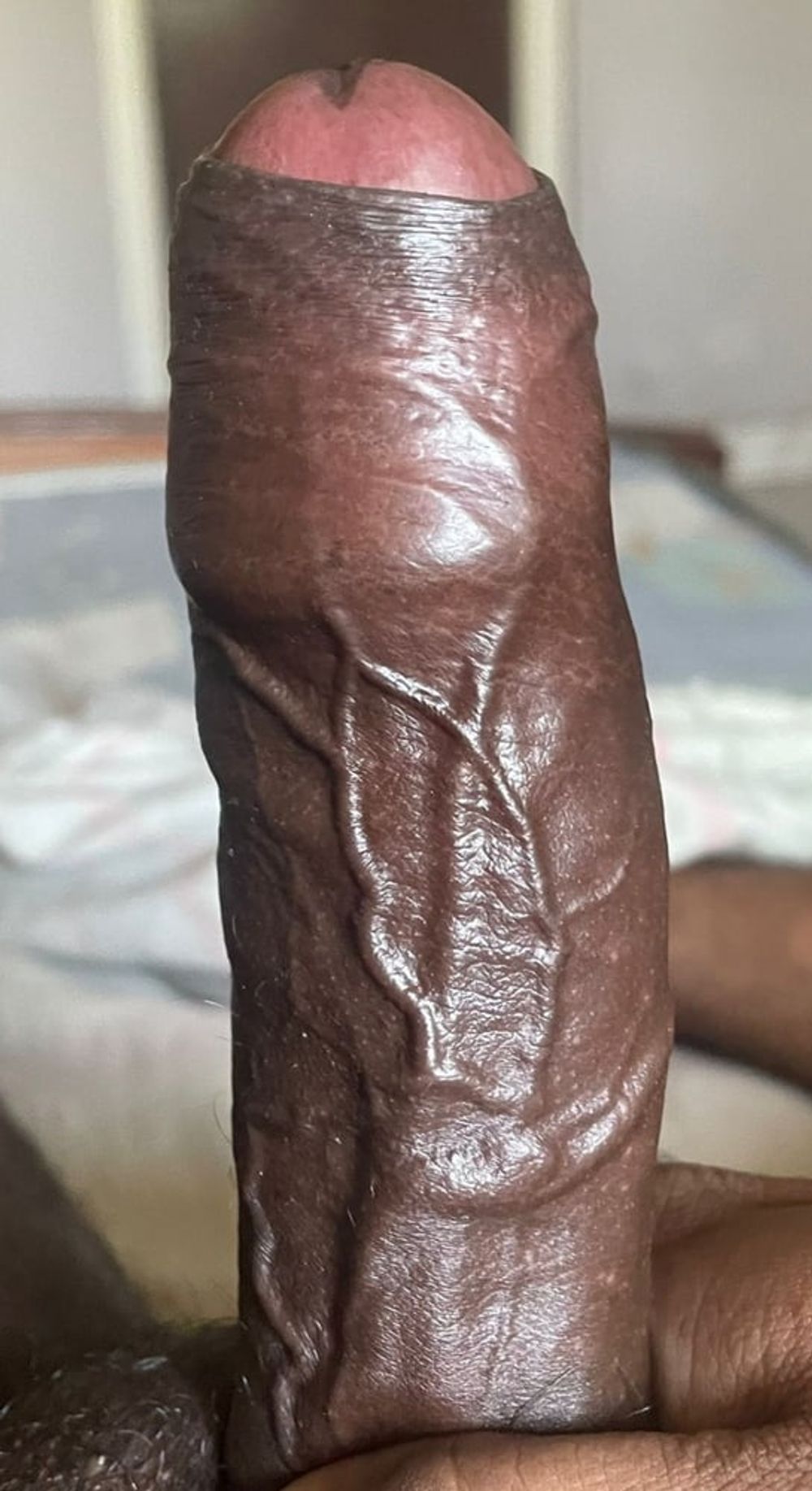 Bbc Blackcock indian