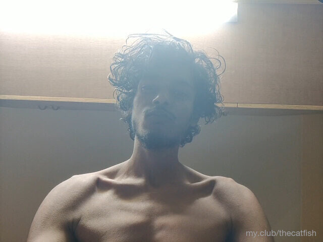 Catfish Free Photos #2