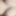 Trans Tits Two 