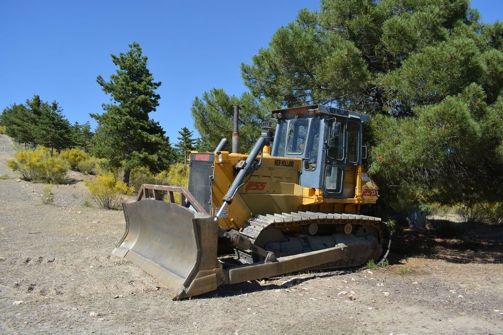 Playing outside with a big toy