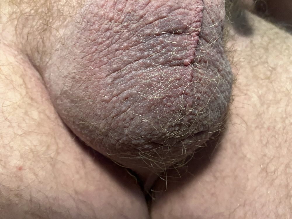 Veiny shaft and wrinkled up, swollen nuts #11