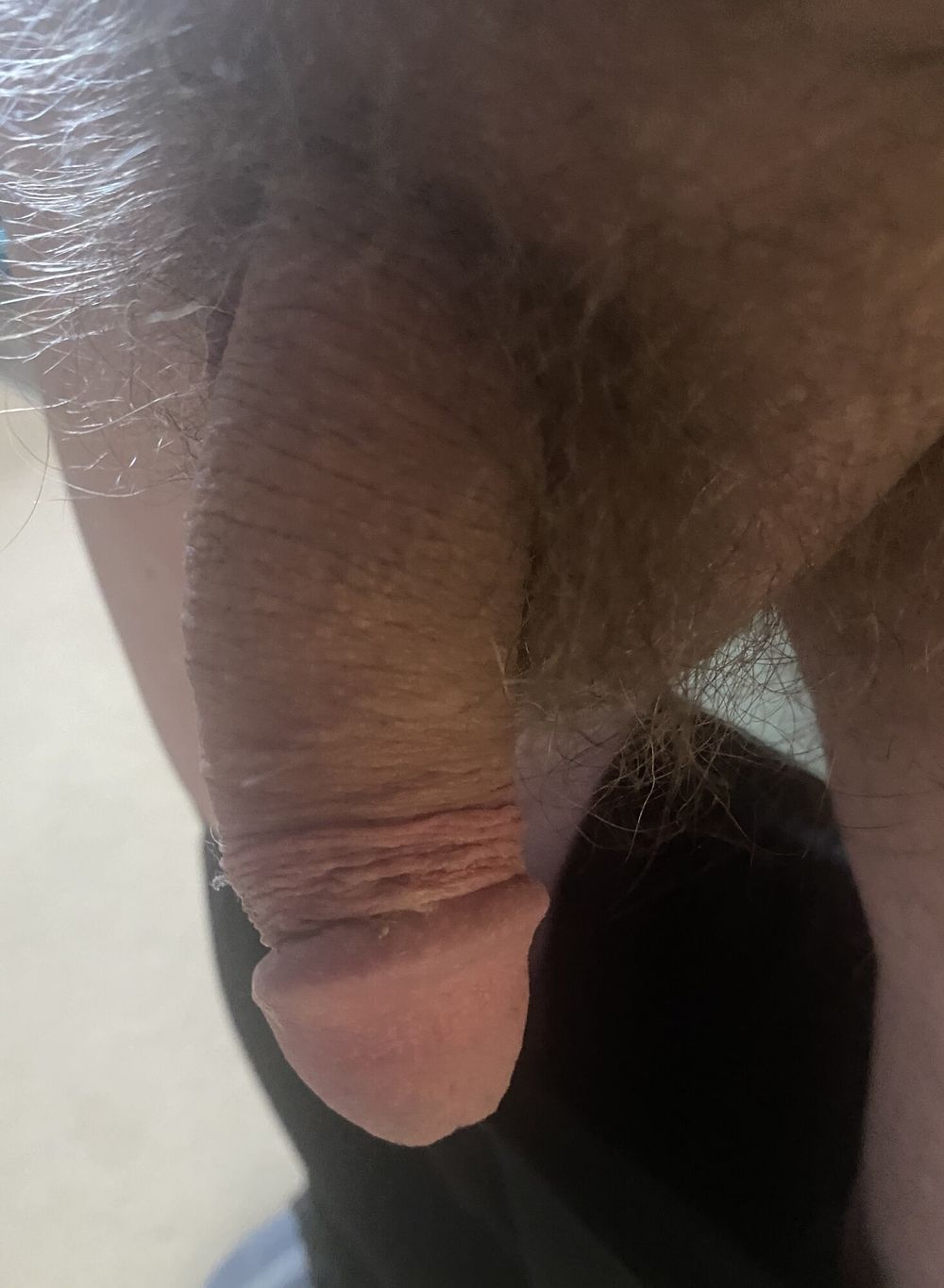 Few new morning cock #4