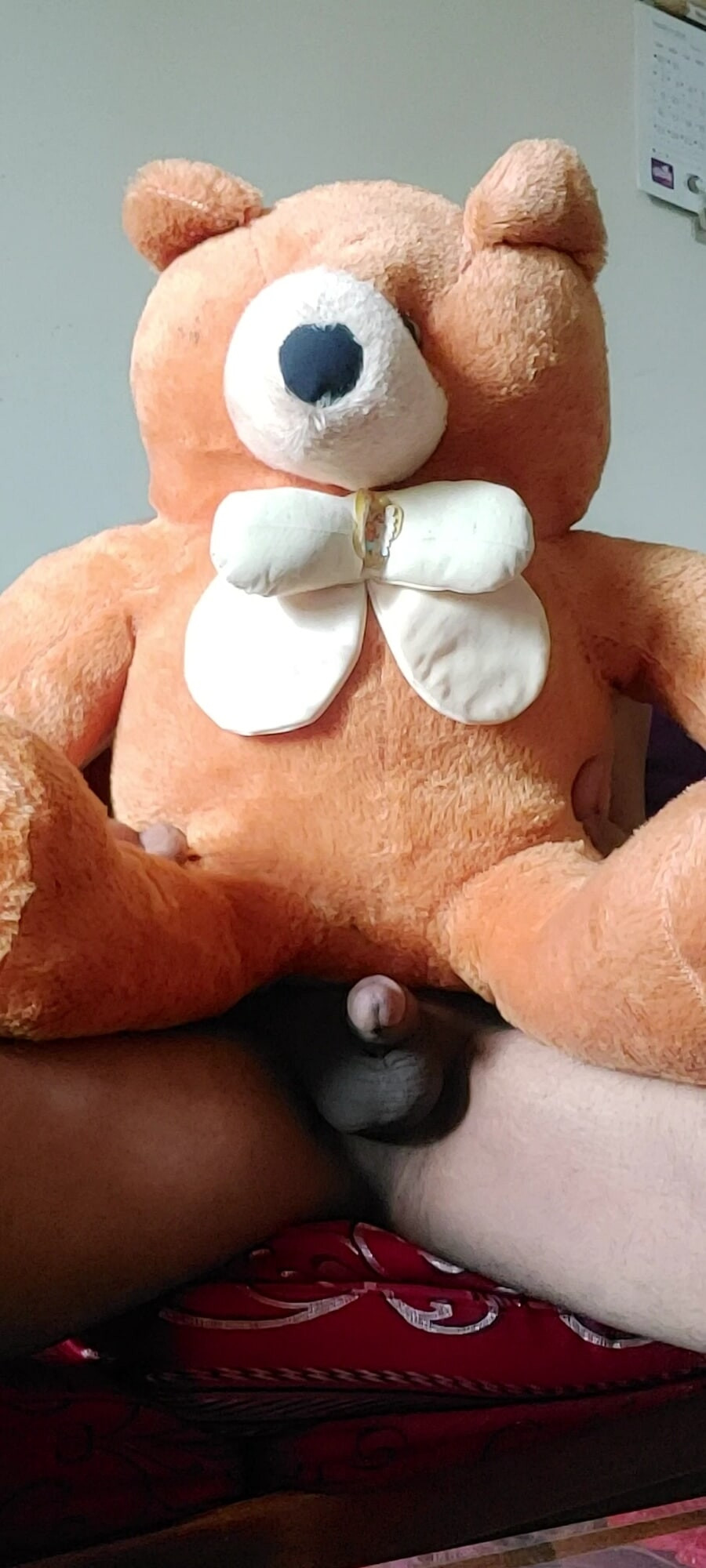 My Teddy bear penis #4