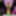 Alisya JC weekly photos №13 #5