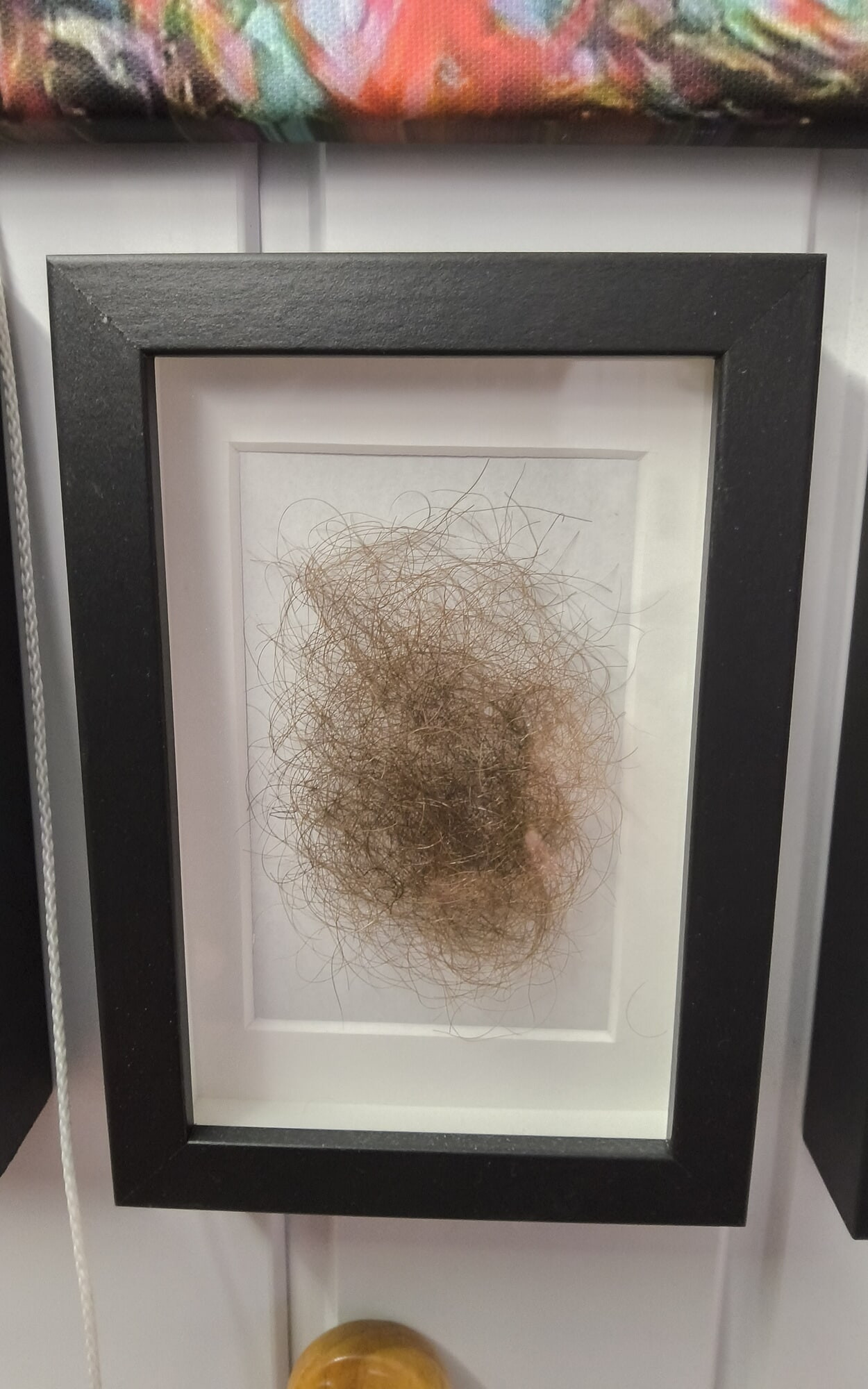 My art pube collection