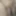 another close up bbw pussy