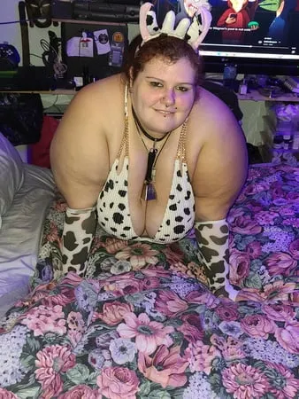 bbw cow         