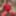 Sexy Crossdresser kellycd2022 in red bodysuit and stockings  #3