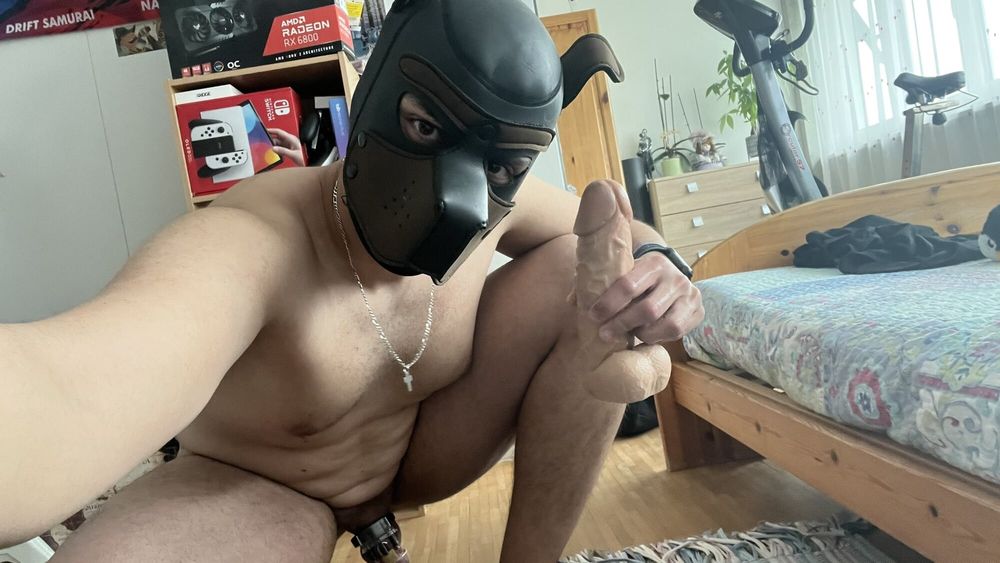 Another Chastity Pup Album #13