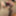 USA mature milfs from OlderWomanFun #14
