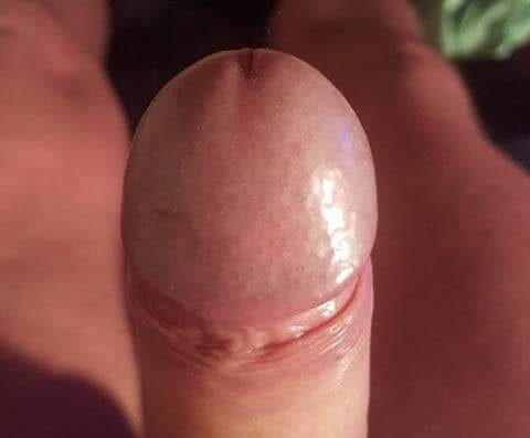 Cock #14